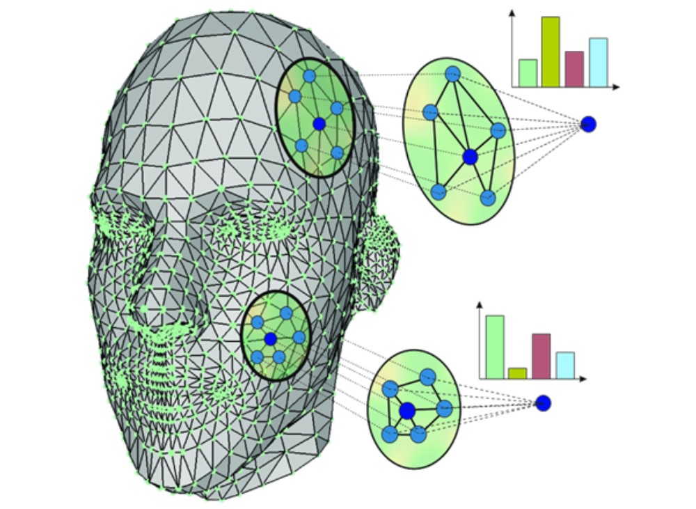 18898    Geometric Deep Learning